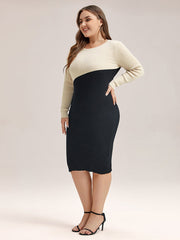 Two Tone Round Neck Bodycon Midi Sweater Dress