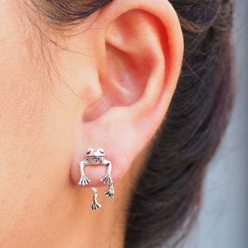 Retro Funny Frog Women Earrings