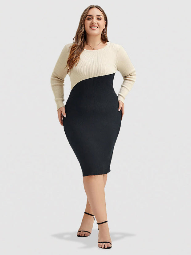 Two Tone Round Neck Bodycon Midi Sweater Dress