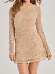 Crew neck sequin dress