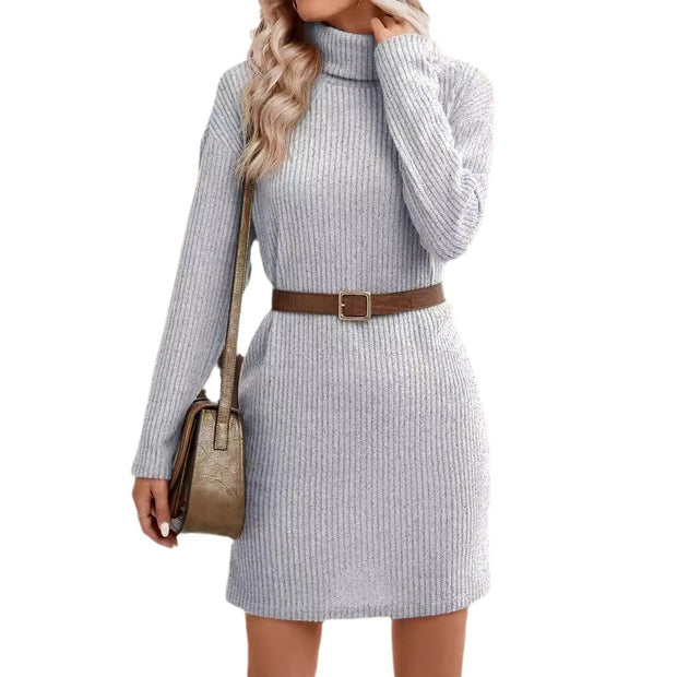 Turtleneck Long Sleeve Knitwear Dress
