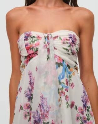 Sexy Bandeau Printed Mesh Backless Dress