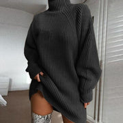 Daily Raglan Sleeves Turtleneck Sweater Dress