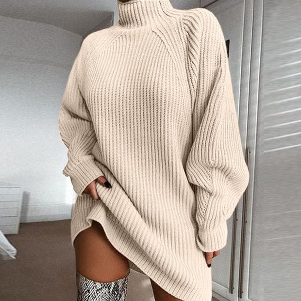 Daily Raglan Sleeves Turtleneck Sweater Dress