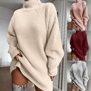 Daily Raglan Sleeves Turtleneck Sweater Dress